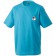 color:turquoise